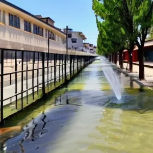 Как вода делает любое место более живым